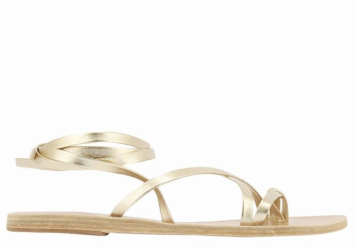 Sandales De Gladiateur Ancient Greek Sandals Morfi Leather   | DDV-7027097